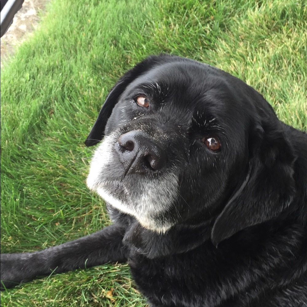 Meet your Posher, Beth